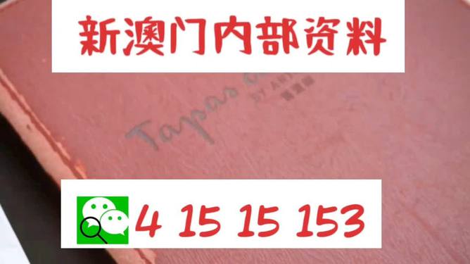 新澳门内部精准公开-全面释义、解释与落实