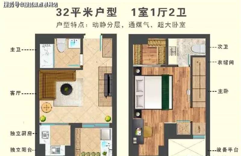 澳门和香港今晚开特马四不像图-精选解析、解释与落实