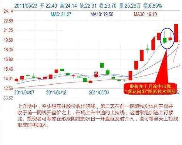 澳门和香港今晚一肖必中特-详细解答、解释与落实