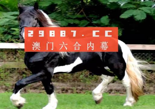 澳门和香港一肖一码一一特一中厂子,全面释义解释与落实展望